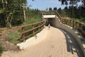Fiets- en ponytunnel voor PonyparkCity Fiets- en ponytunnel voor PonyparkCity