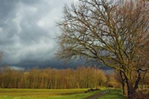 Neerslagregistratie Neerslagregistratie